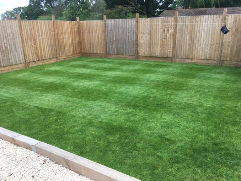 One Stop Lawn Treatments Lawn Surrey