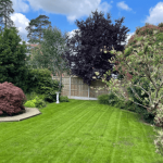 One Stop Lawn Treatments Surrey and West Sussex