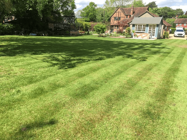 Lawn Treatment Service Surrey and West Sussex